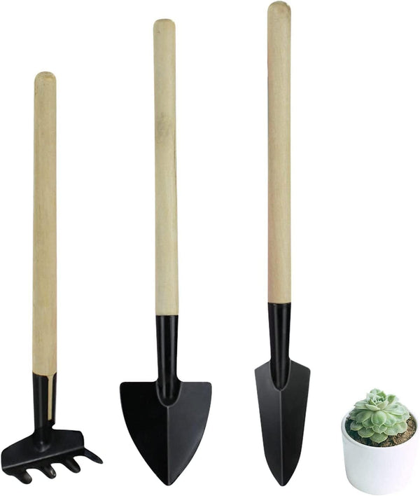 Wishlotus Mini Gardening Tools, 3Pcs Portable Hand Tools Set for Indoor Gardening and Succulents
