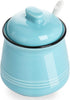 HAOTOP Porcelain Salt Bowl with Lid and Spoon, Ceramic Sugar Bowl 12oz in Turquoise