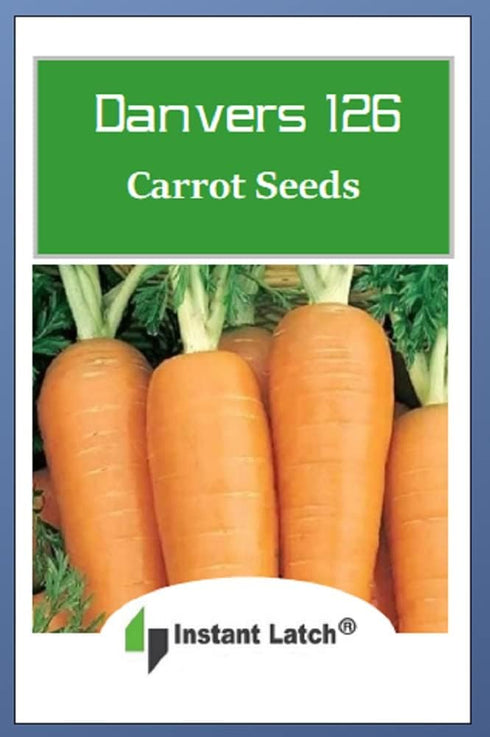 Instant Latch 750 Danvers Carrot Seeds for Planting Non GMO Heirloom Seeds Fresh Vegetable Garden Seed
