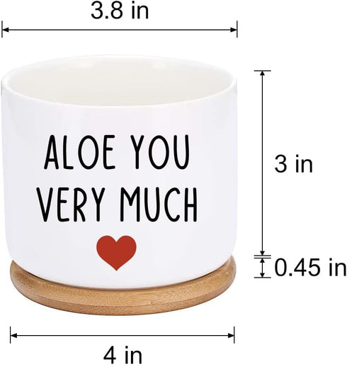 You Very Much - White Ceramic Engraved Mini Succulent Planter Pot | Funny Indoor Flower Pots for Home Office Windowsill