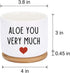 You Very Much - White Ceramic Engraved Mini Succulent Planter Pot | Funny Indoor Flower Pots for Home Office Windowsill