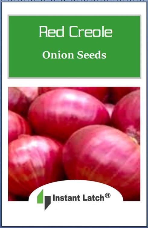 Instant Latch 250 Red Creole Onion Seeds for Planting Non GMO Heirloom Seeds Fresh Garden Seed