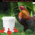 YaraHrbrJoyz 8pcs Set, Professional Chicken Waterer Cups, Large Chicken Water Feeder, Automatic Chicken Water