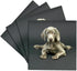 3drose Weimaraner Puppy Ceramic Tile Coaster, Set of 4