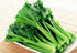 93% Gaea's Blessing Seeds - Gailan Seeds - Non-GMO Seeds with Easy to Follow Planting Instructions - Chinese Broccoli