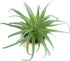 2 PCS Artificial Succulents Plants Unpotted Fake Tillandsia Air Plants for DIY Garden Decor Home Decoration Greenery Set