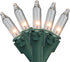 Generic 20-Count Clear Mini Christmas Light Set, 4ft Green Wire
