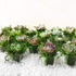 BYHER Artificial Moss Fake Green Grass for Centerpieces, Home Kitchen Garden Decor (3.5OZ, Fresh)