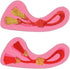 2 pieces Rope Knot Ice Jelly Baking Tray Molds, Chinese Knot Cake Baking Mould for Chocolate Candy Bakeware