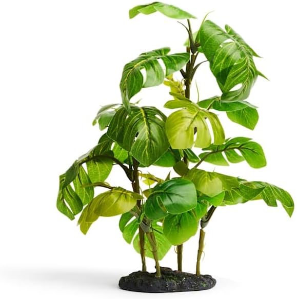 imagitarium by Petco Stand Araceae Plant Terrarium Decor Small