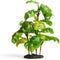 imagitarium by Petco Stand Araceae Plant Terrarium Decor Small