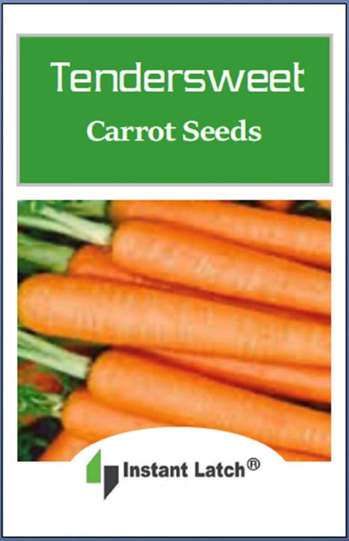 Instant Latch 3000 Tendersweet Carrot Seeds for Planting Carrot Seeds Fresh Heirloom Vegetable Garden Seed