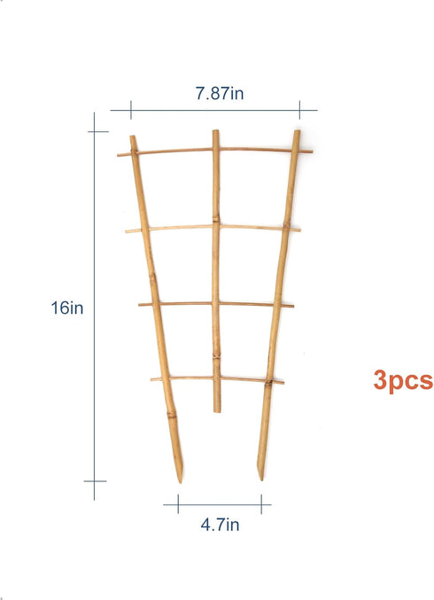 3Pack 16 Inch COLOtime Bamboo Trellis Fan Shaped Small Plant Trellis for Indoor Potted Plants Climbing Monstera Orchid
