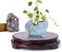 GOLDY&WENDY Brown Wood Oriental Style Round Veneer Base for Vase Lamp Teapot - Non-Rotatable Stable Home Decoration