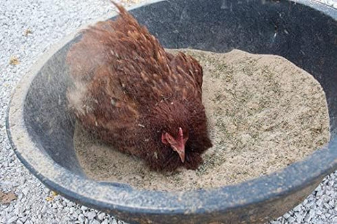 (6 Pampered Chicken Mama Floral Dust Bath with Premium Herbs & Flowers: All Natural Poultry Supplies for Hens Who Love