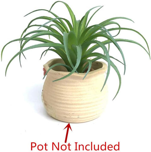 2 PCS Artificial Succulents Plants Unpotted Fake Tillandsia Air Plants for DIY Garden Decor Home Decoration Greenery Set