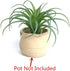 2 PCS Artificial Succulents Plants Unpotted Fake Tillandsia Air Plants for DIY Garden Decor Home Decoration Greenery Set