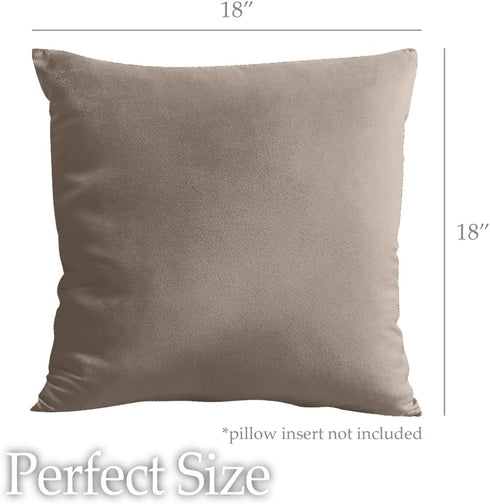 lalaLOOM Set of 2 Velvet Throw Pillow Covers, 18x18 Decorative Square Soft Accent Cases for Home Decor, Taupe