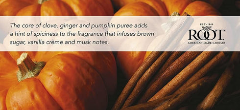 Root Candles 12-Ounce Fall Scented Pumpkin Spice Candle, Premium 3-Wick Handcrafted Beeswax Blend in Honeycomb Glass
