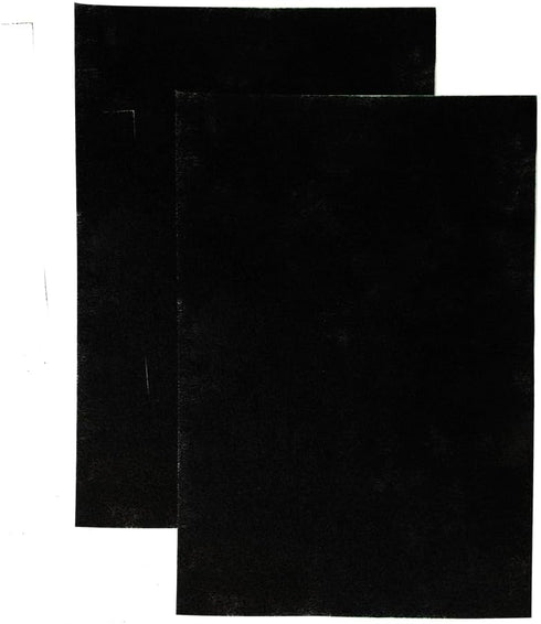 LivePure CocoCarbon Replacement LP-PF900 Pre-Filter for Aspen Series Air Purifier, 2 Pack, Black
