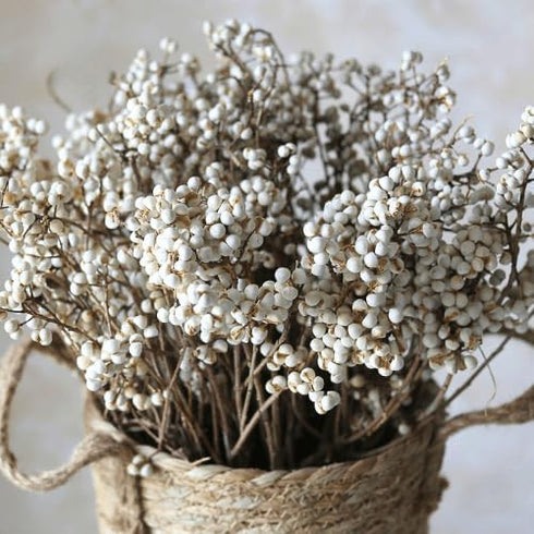 220g Tallow Berries Dried Christmas Decor- 17" Natural Stem Wedding Floral Decor,