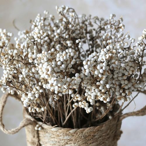 220g Tallow Berries Dried Christmas Decor- 17" Natural Stem Wedding Floral Decor,