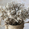 220g Tallow Berries Dried Christmas Decor- 17" Natural Stem Wedding Floral Decor,