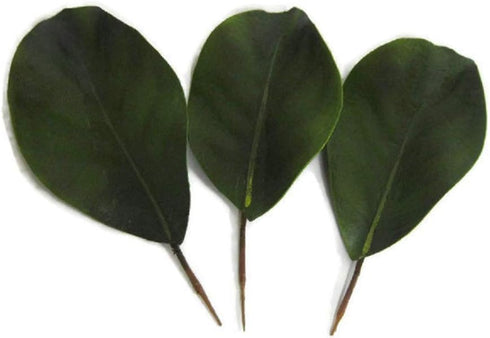 Artificial Magnolia Leaves Pack of 30