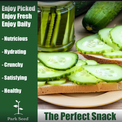 F1 Pack 10 Park Seed Variety of Cucumber Seeds, Planting Cucumbers, Vegetable Seeds, Easy to Grow, Non-GMO, Perfect