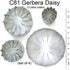 WSA Daisy 12 Petal Cutter Set, 4 Pieces