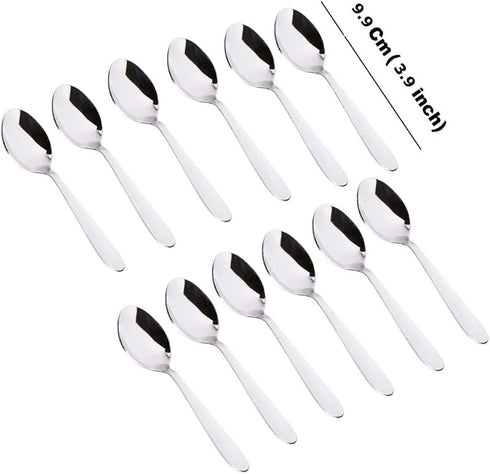 Stainless Steel Spice Box Spoons Set of 12, Silver