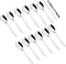 Stainless Steel Spice Box Spoons Set of 12, Silver