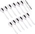 Stainless Steel Spice Box Spoons Set of 12, Silver