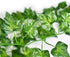 SO CAL PRO Fake Ivy Leaves, Artificial Greenery Vines for Room Decor, Faux Vines Wedding Decor (6 Strands)