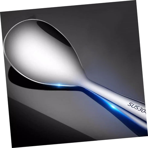 Serving Spoon, Japanese Rice Ice Cream Spoon, Premium 304 Stainless Steel Mini Scoop for Food Home