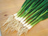 250+ Seeds Bunching Green Onions Scallions Seeds for Planting Perennial Vegetable Garden Spring Onions Non-GMO