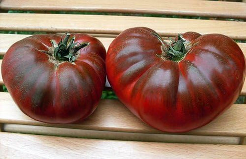 Harley Seeds 30 Paul Robeson Tomato Seeds, Heirloom Non-GMO, Low Acid, Indeterminate, Open-Pollinated, Rich Flavor