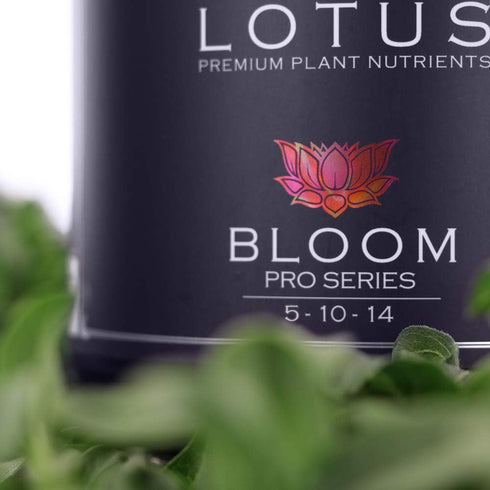 14+ 100% (16oz) Lotus Nutrients Bloom Pro Series, Water Soluble Hydroponic Plant Food for Flowering and Fruiting