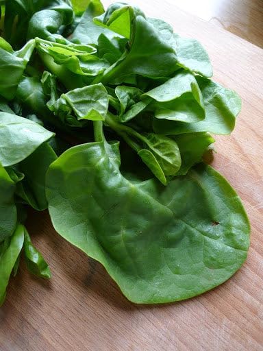 1200+ Count 2026 TomorrowSeeds - Giant Malabar Spinach Seeds - - for Planting USA Garden Green Vegetable Plant Leaf