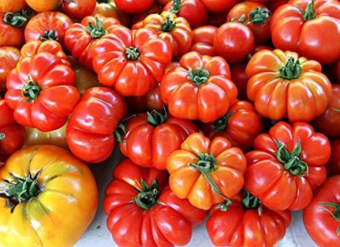 Harley Seeds 30 Costoluto Genovese Pomodoro Tomato Seeds, Heirloom Non-GMO, Low Acid, Indeterminate, Open-Pollinated