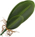 WINOMO Artificial Orchid Leaf, Fake Flower Leaf for Home Office Decoration