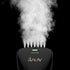 SALAV HS-04/T 1000W Hand Held Garment Steamer - Quick Steam with Dual Settings (Black)