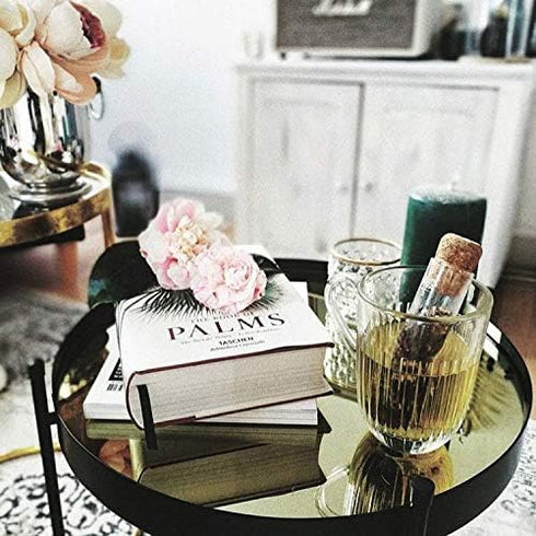 VIVA Travel Glass Tea Infuser Tube with Cork Lid for Brewing Tea On The Go