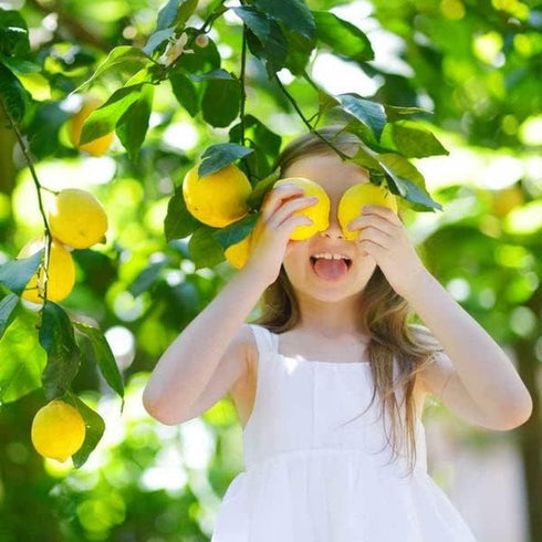 2 Gardenera's Premium Lemon Tree Soil Mix - Perfect Drainage and Nutrient Retention for Citrus Limon Trees - Quart