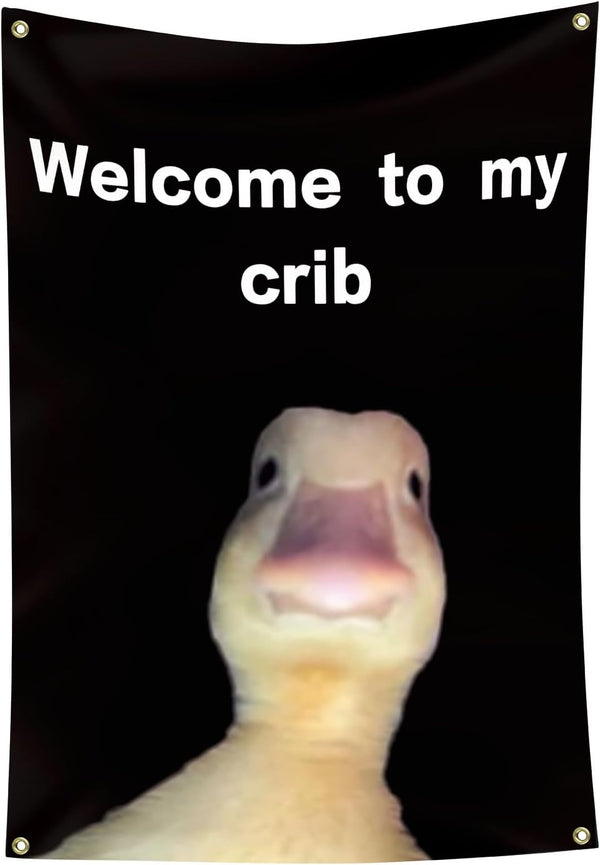 CLRIEOS Welcome to My Crib Flag 2x3 Feet Funny Flags for Room Durable
