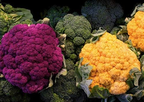 NIKA SEEDS 200 Seeds Vegetable Cauliflower Cabbage Mix - Seeds
