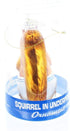 Mcphee Archie Accoutrements Ornament Squirrel in Underpants Glass for Christmas