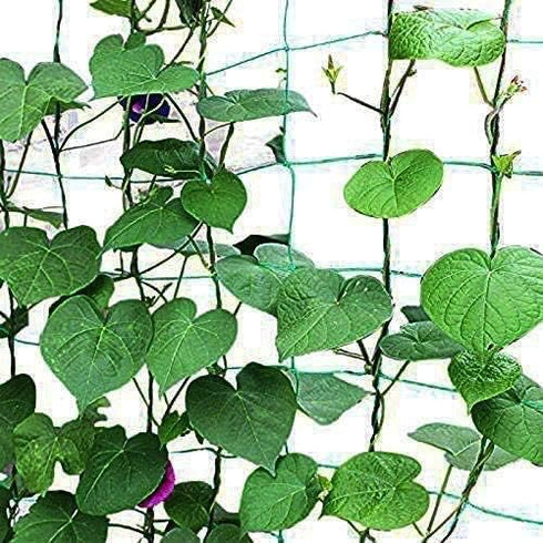 Yahpetes Garden Netting 1 Pcs Heavy Duty Climb Net 6'X6' for Plant Vine Support