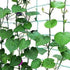 Yahpetes Garden Netting 1 Pcs Heavy Duty Climb Net 6'X6' for Plant Vine Support