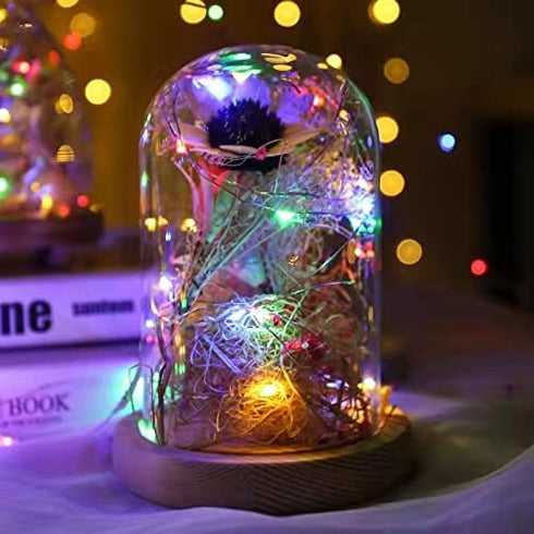 1 Pack (5m/16ft Sanniu Led Fairy Lights Battery Operated, Mini Battery Powered Copper Wire Starry String Lights